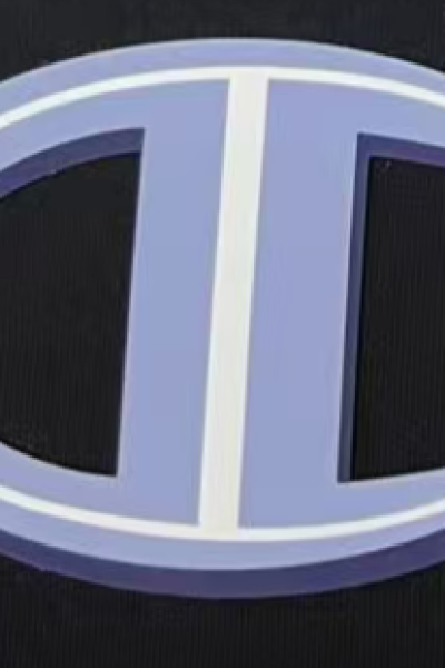 3D heat transfer print